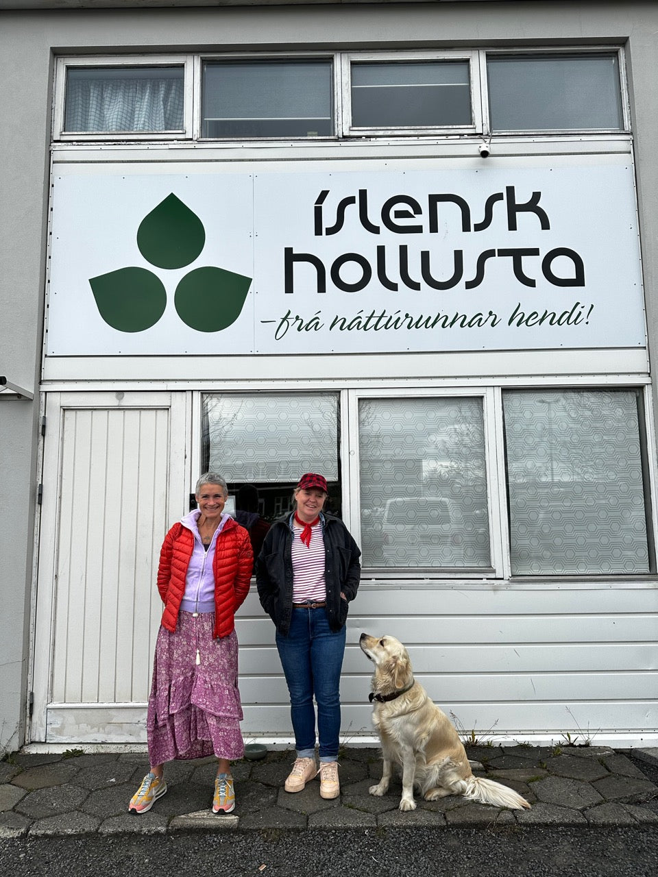 Visit To Islensk Hollusta