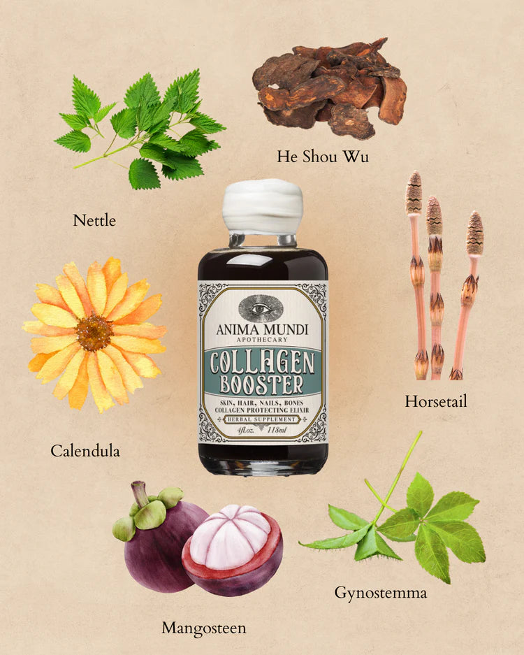 Anima Mundi Herbals - Collagen Booster ELIXIR (2oz, 4oz)