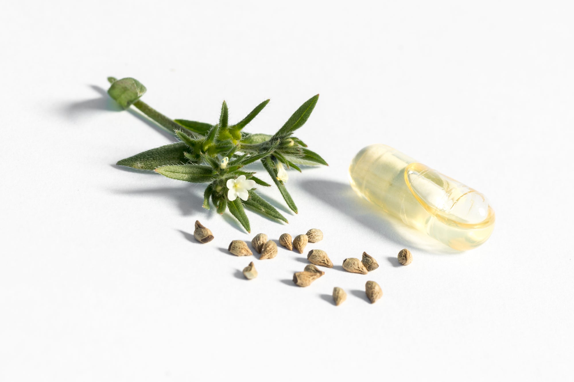 PhytoLove - Ahiflower Oil (90 caps)