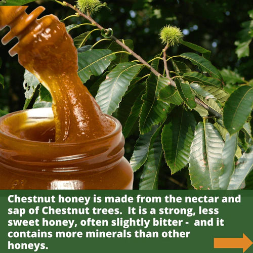 Raw Organic Honey - Creamed Chestnut 960g
