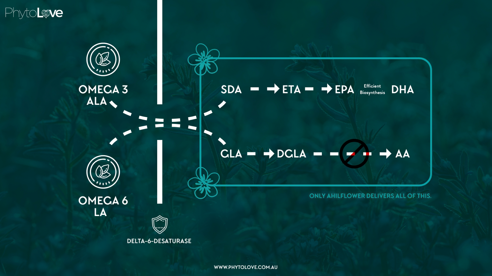 PhytoLove - Ahiflower Oil (90 caps)