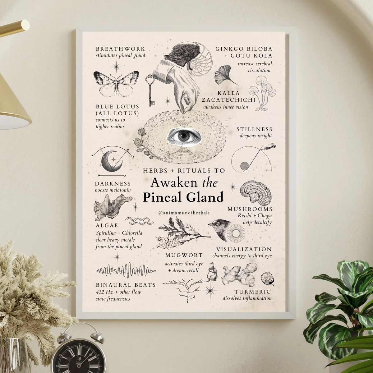 Anima Mundi Herbals - Sacred Space Posters