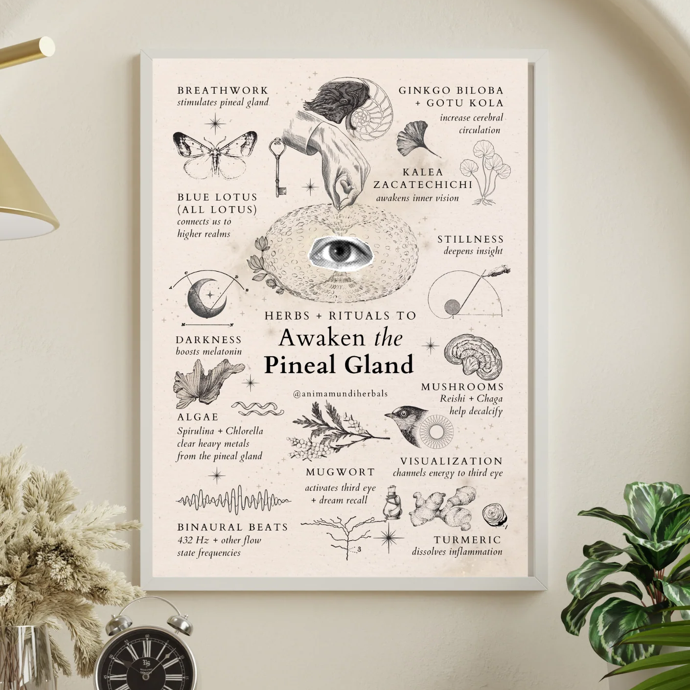 Anima Mundi Herbals - Sacred Space Posters