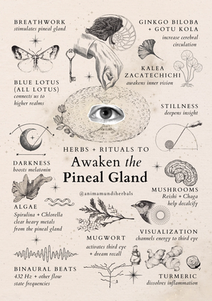 Anima Mundi Herbals - Sacred Space Posters