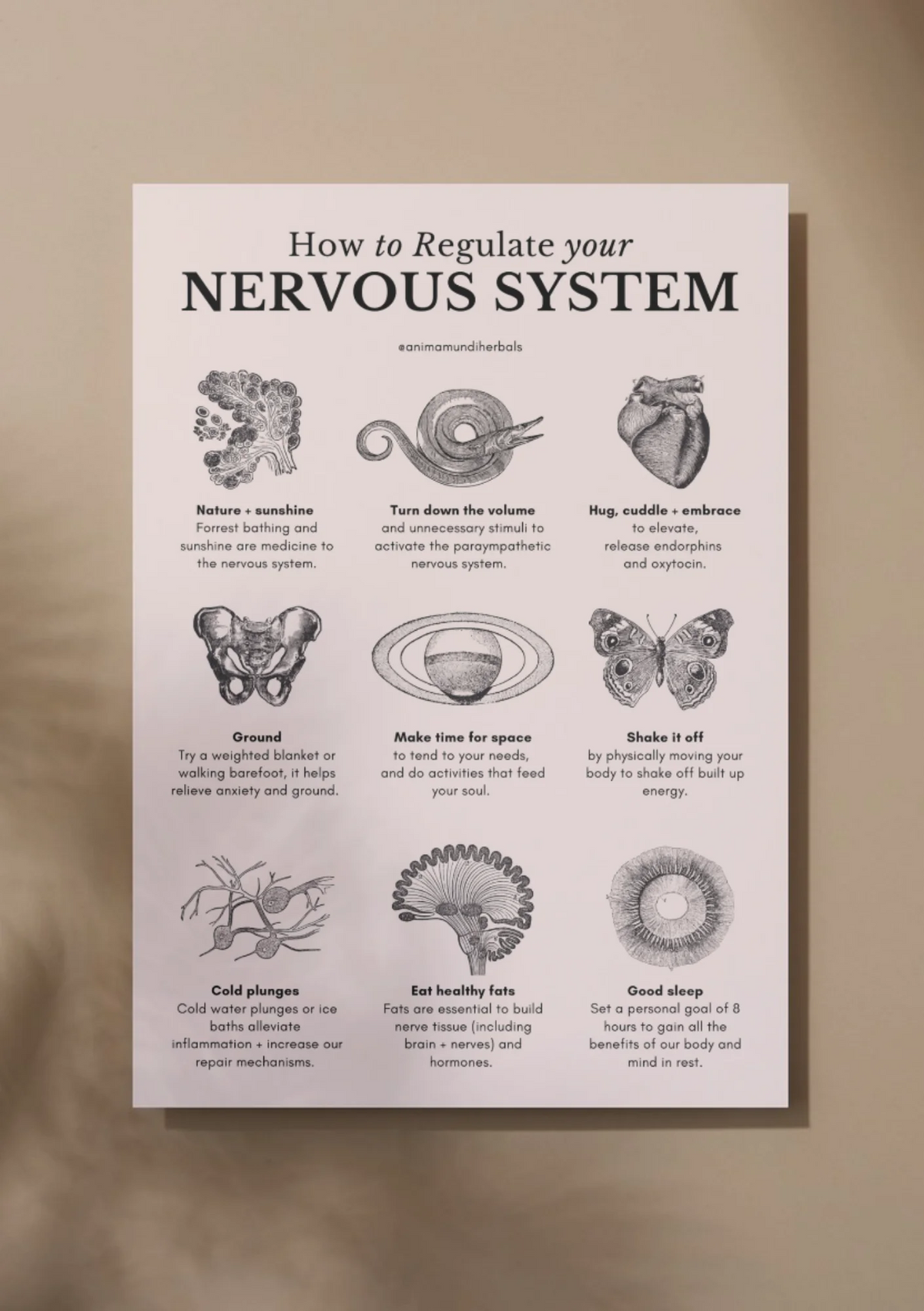 Anima Mundi Herbals - Sacred Space Posters