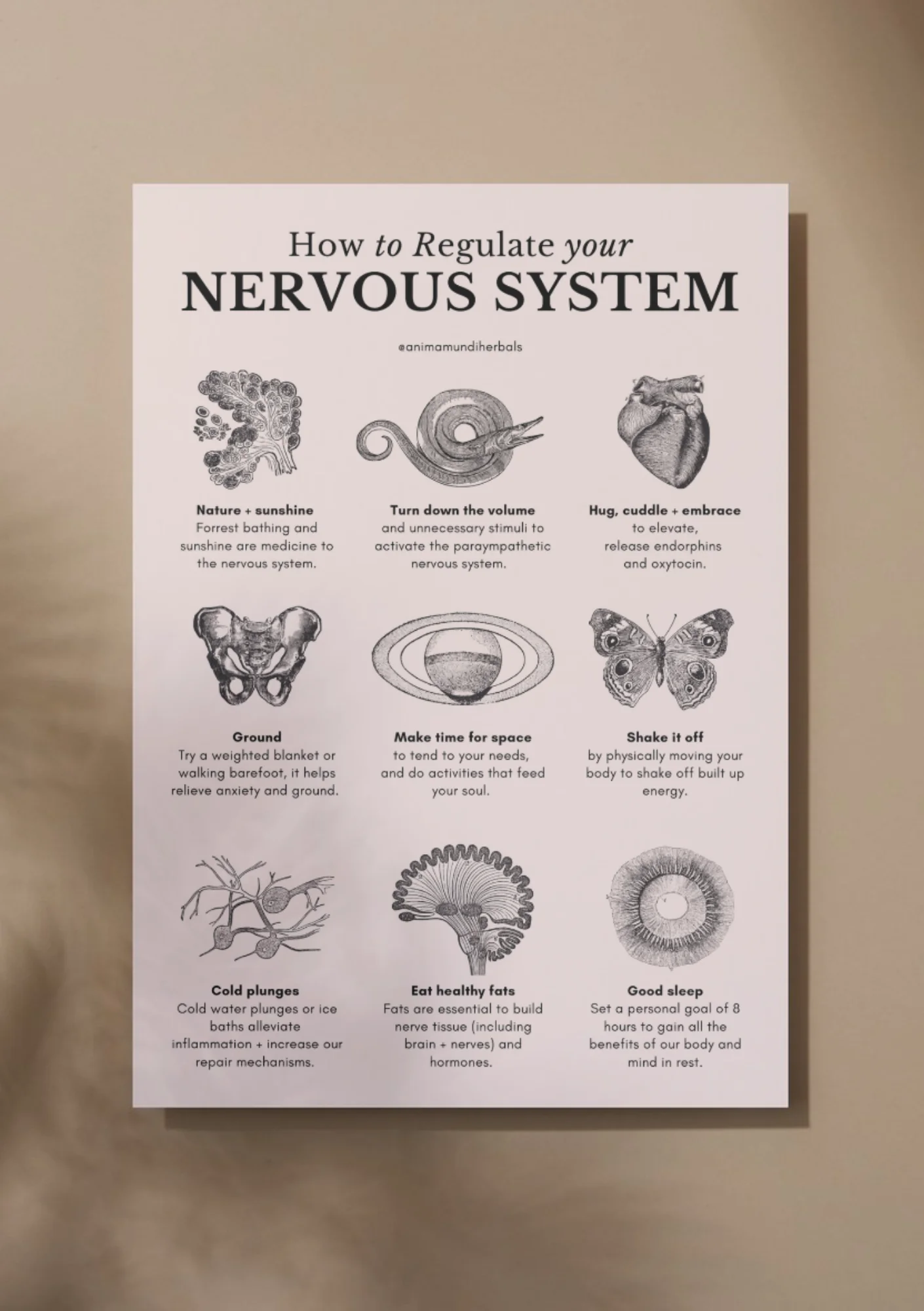 Anima Mundi Herbals - Sacred Space Posters