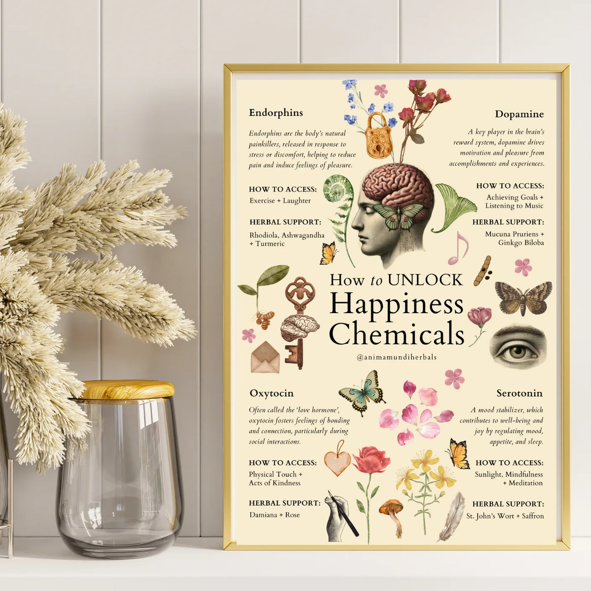 Anima Mundi Herbals - Sacred Space Posters