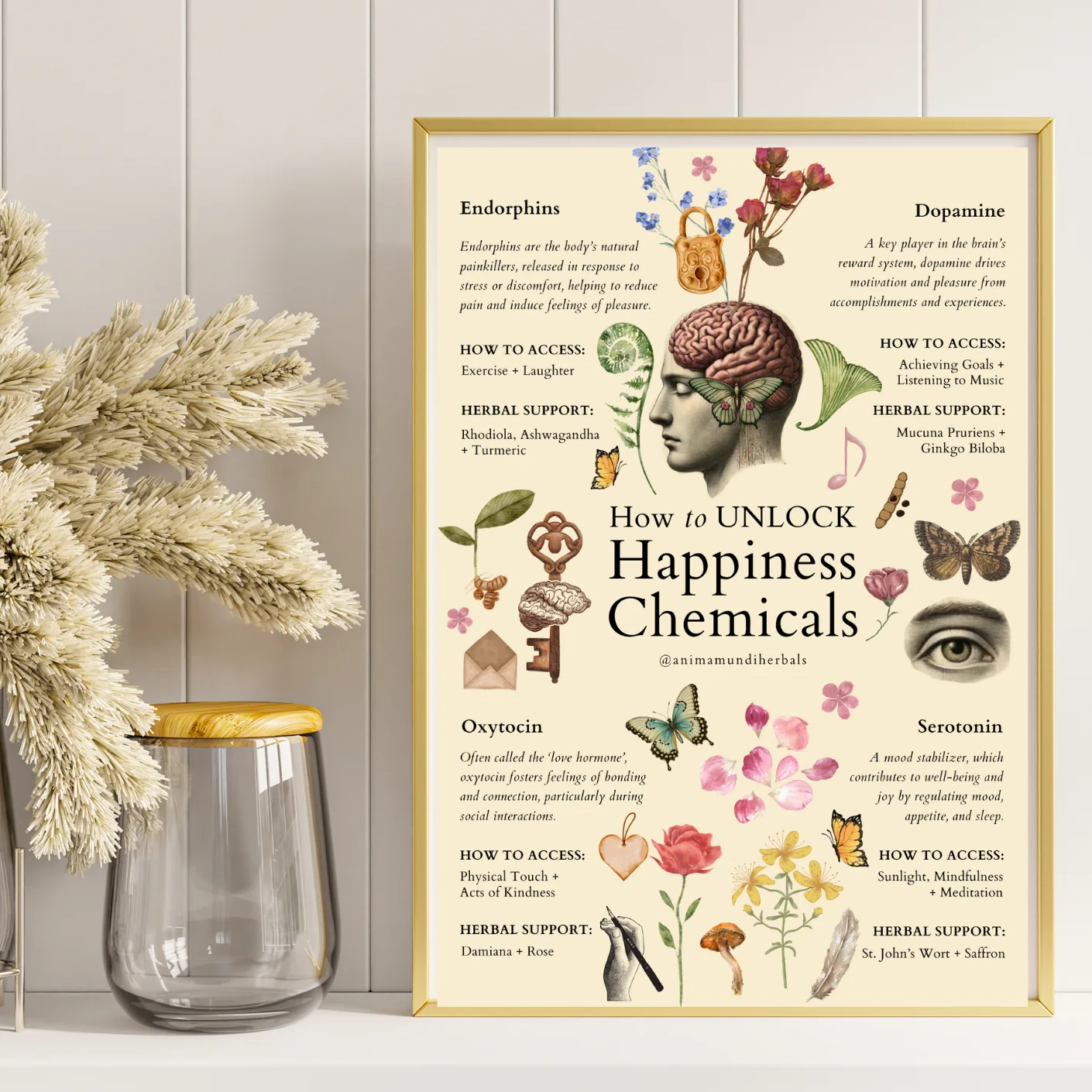 Anima Mundi Herbals - Sacred Space Posters