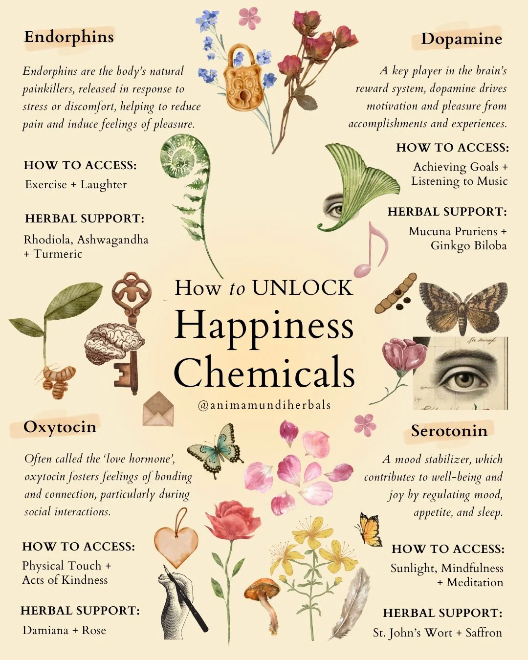 Anima Mundi Herbals - Sacred Space Posters