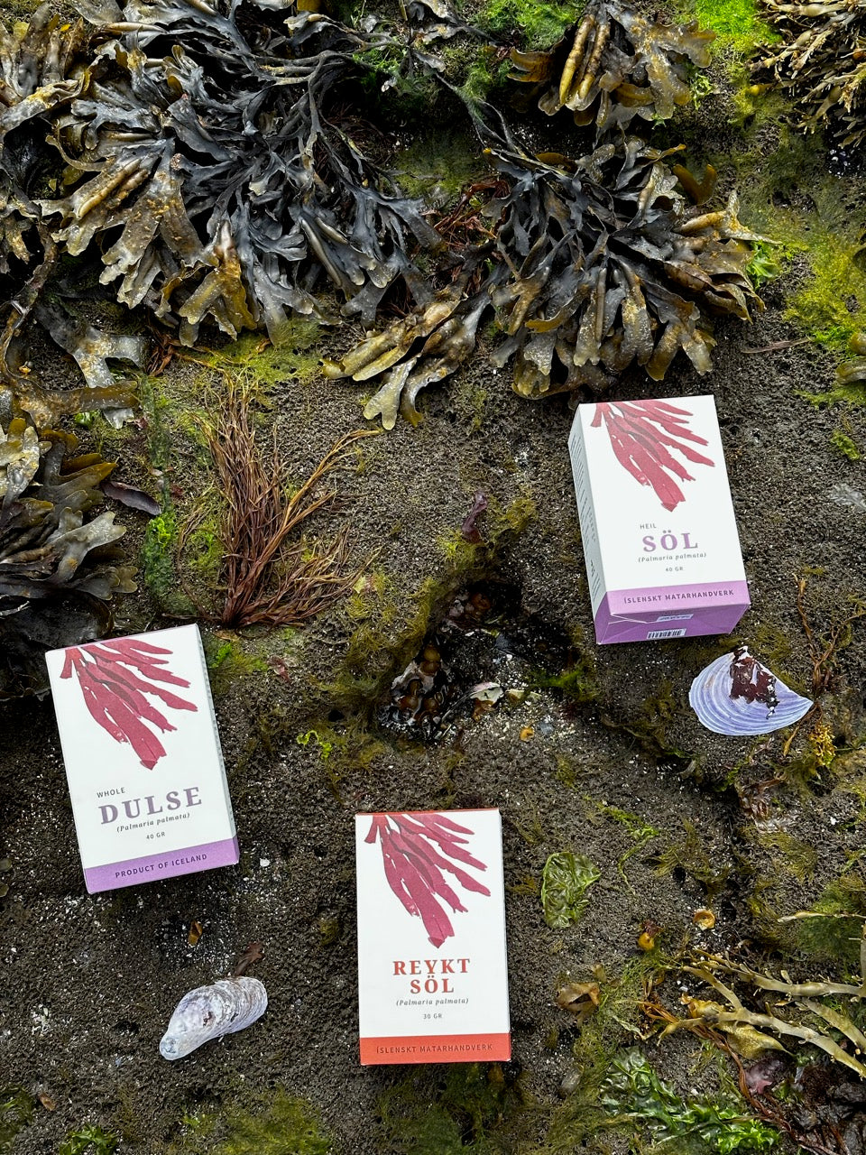 Islensk Hollusta - Birch Smoked Dulse (30g)