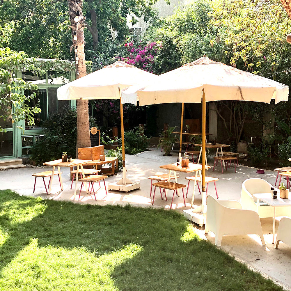 Egypt Magic Retreat &amp; Activation 2026