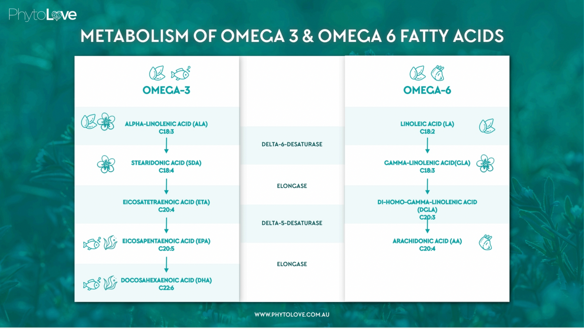 PhytoLove - Ahiflower Oil (90 caps)