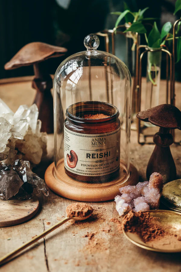 Anima Mundi Herbals - Reishi (4oz)