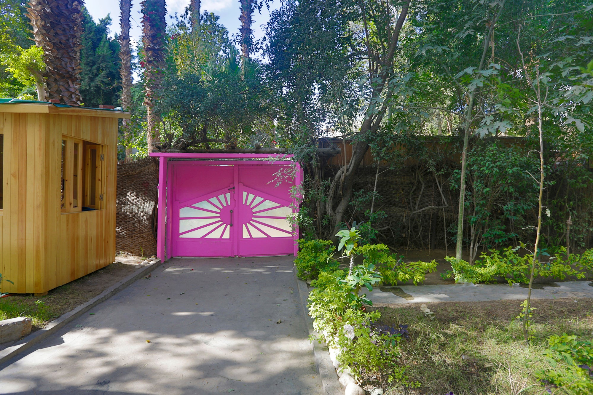 Egypt Magic Retreat &amp; Activation 2026