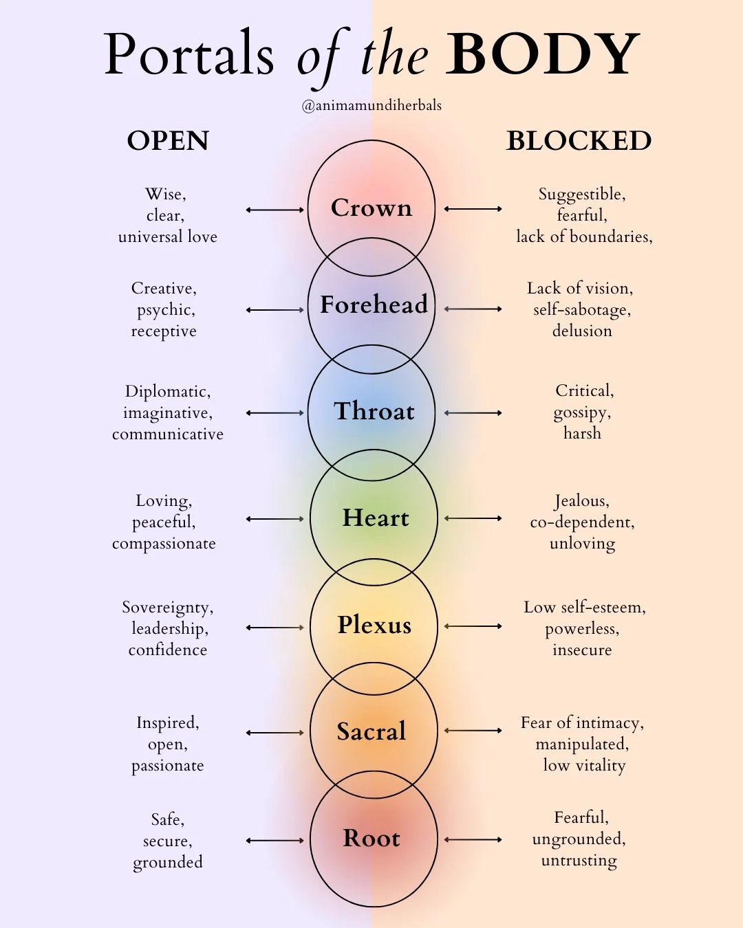 Anima Mundi Herbals - Sacred Space Posters