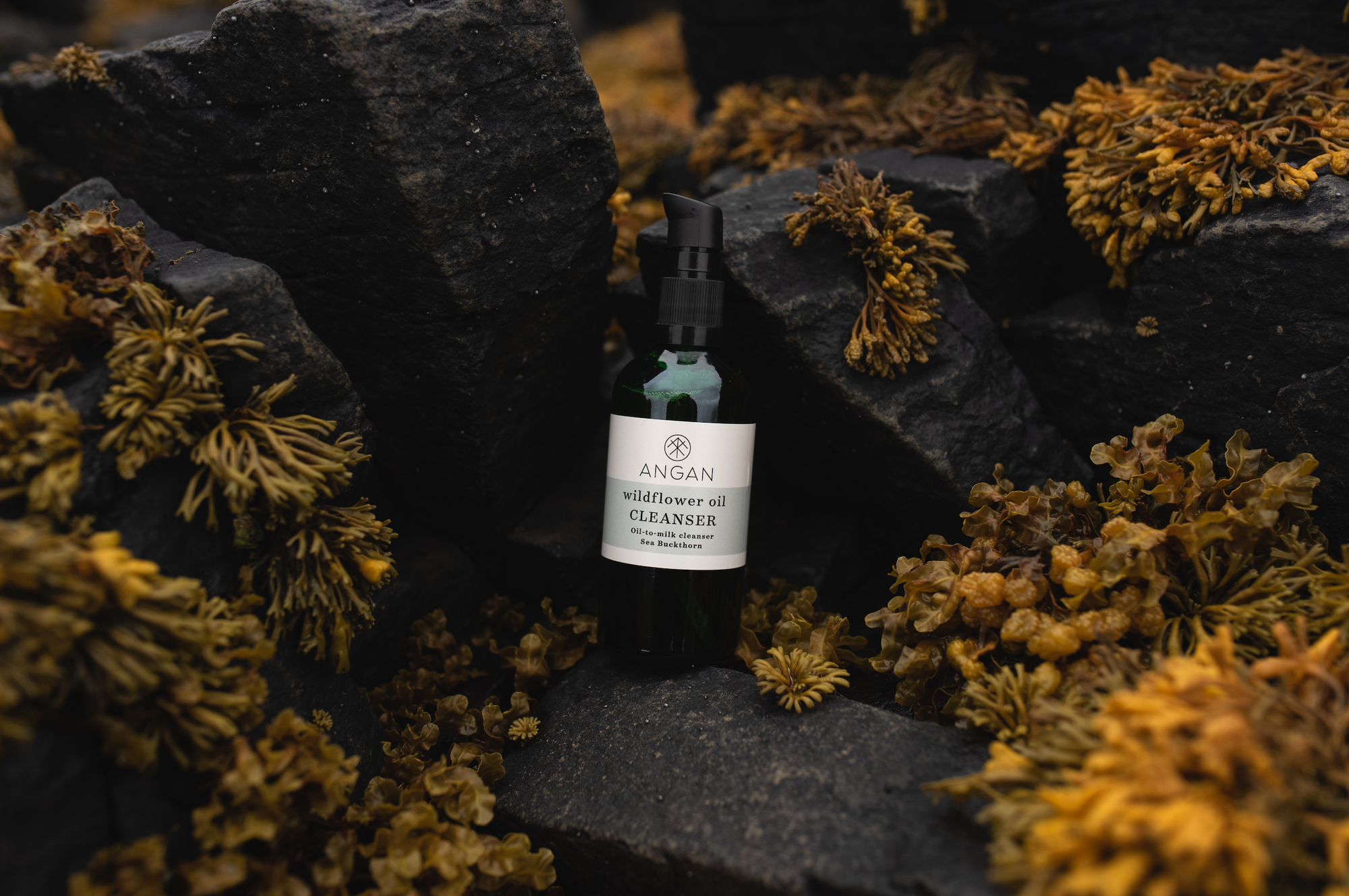 ANGAN - Wildflower Oil Cleanser (100ml)