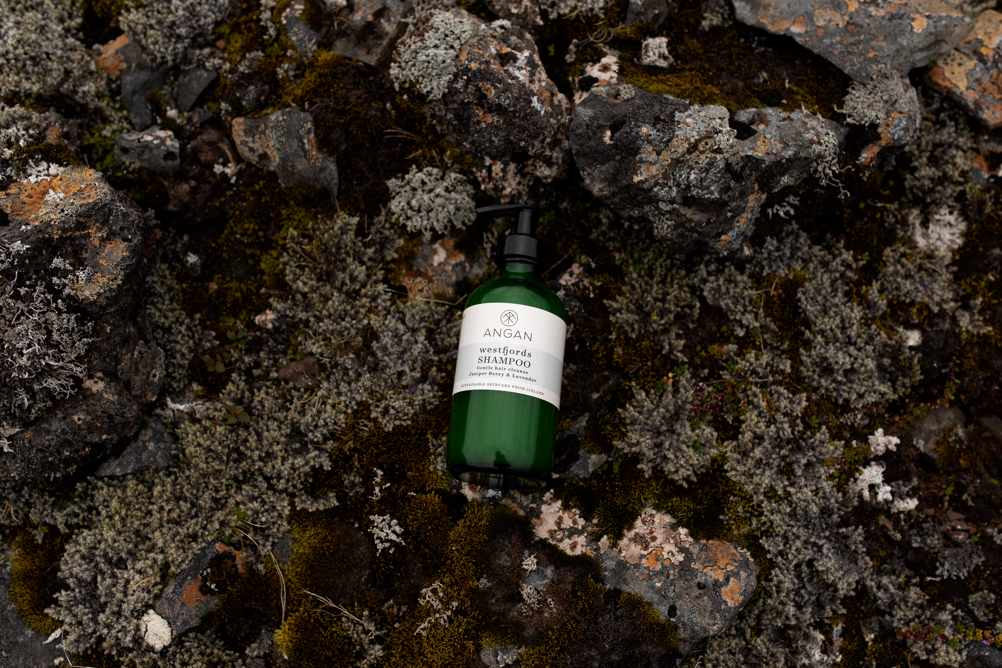 ANGAN - Westfjords Shampoo (250ml, 500ml)