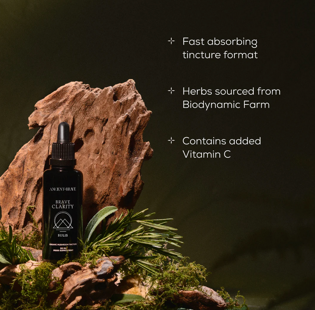 Black tincture bottle with dropper on a natural rock and plant background, featuring text about product features.