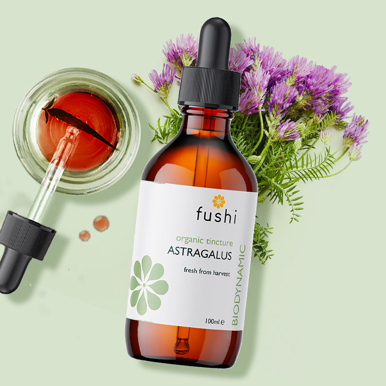 Astragalus Tincture (100ml) | Fushi | Raw Living UK | Fushi Organic Astragalus Tincture: Astragalus has been used in the traditional Chinese Medicine to support the body&#39;s natural defences. High Quality Tincture.