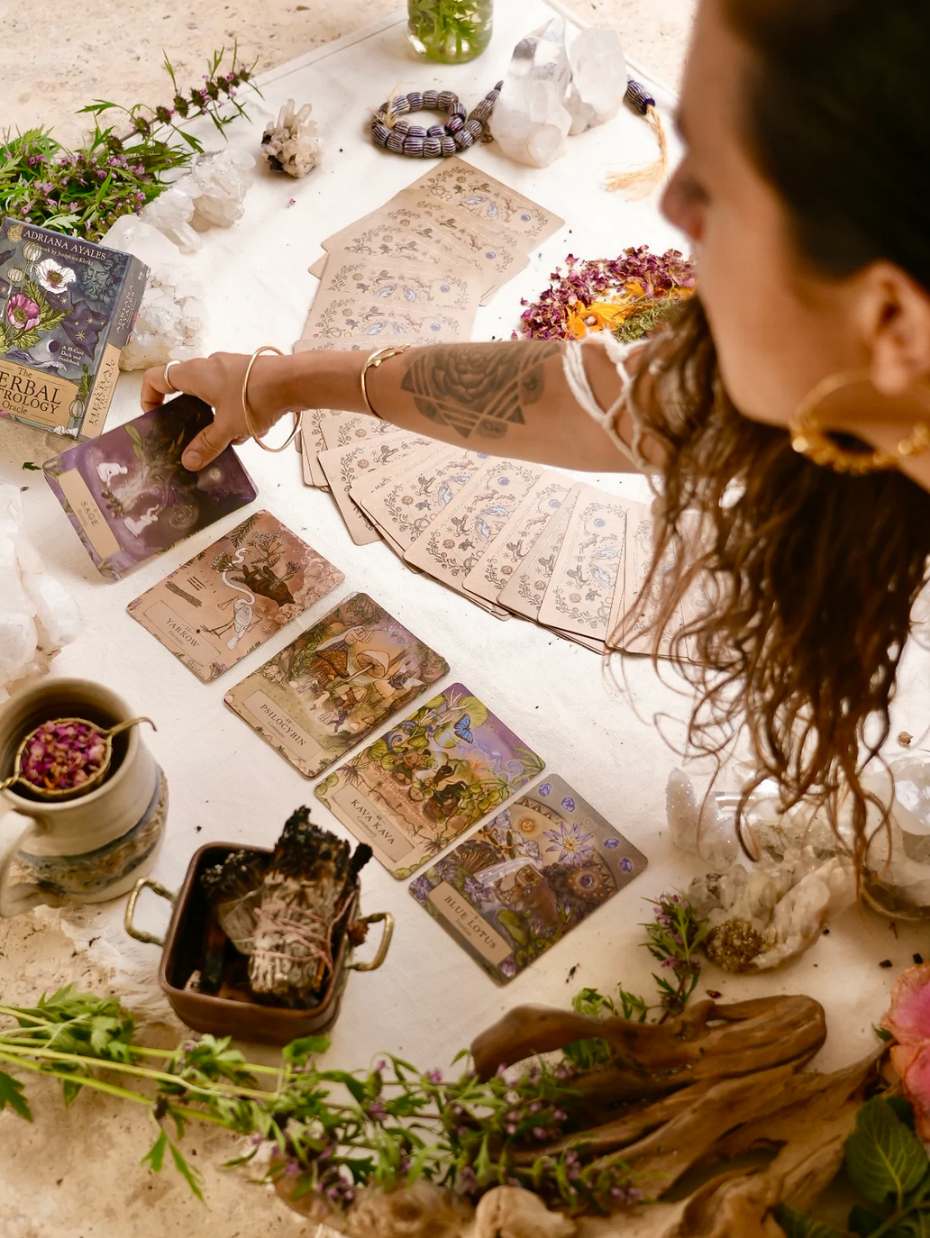 Anima Mundi Herbals - Herbal Astrology Oracle Cards
