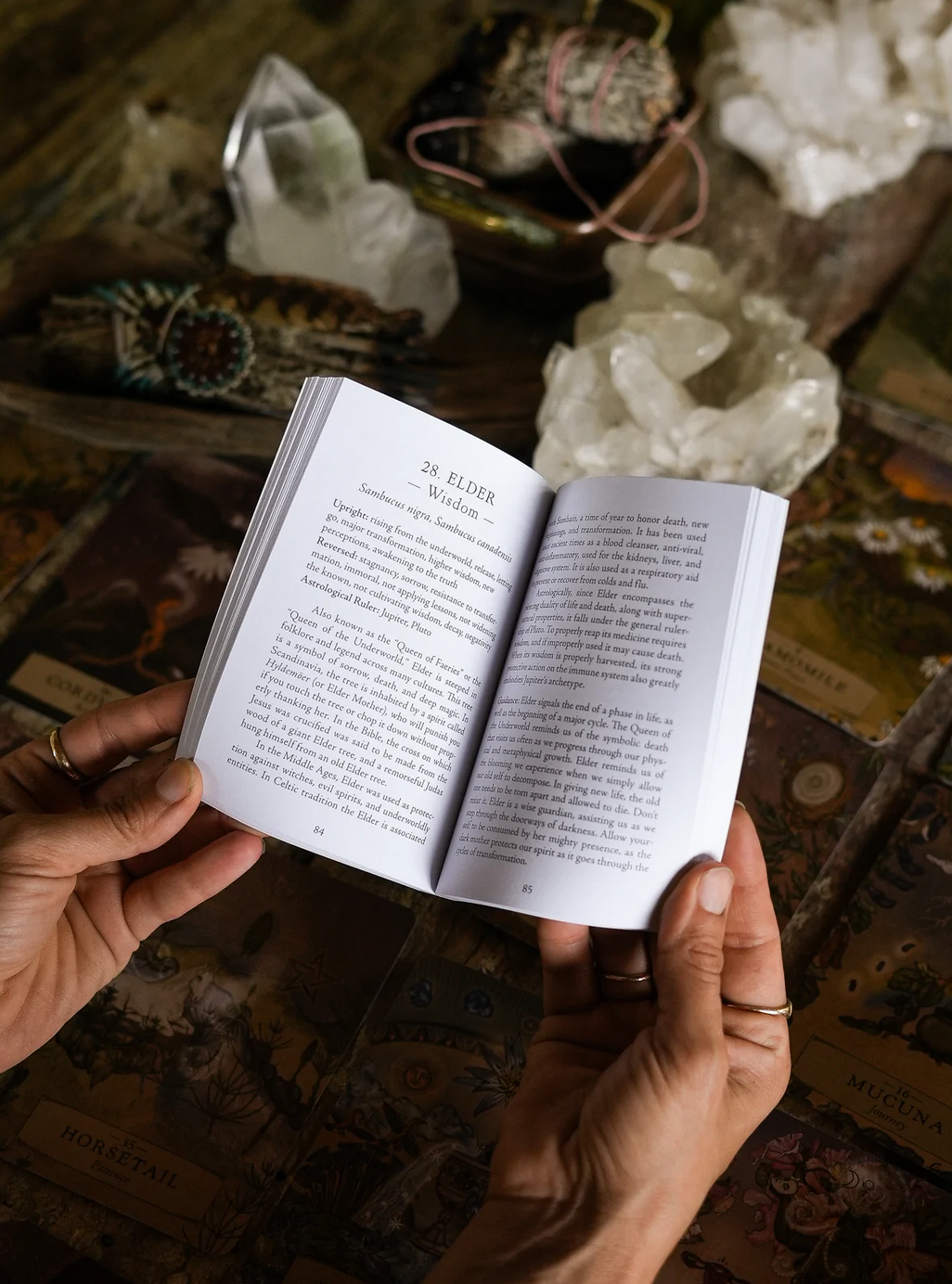 Anima Mundi Herbals - Herbal Astrology Oracle Cards