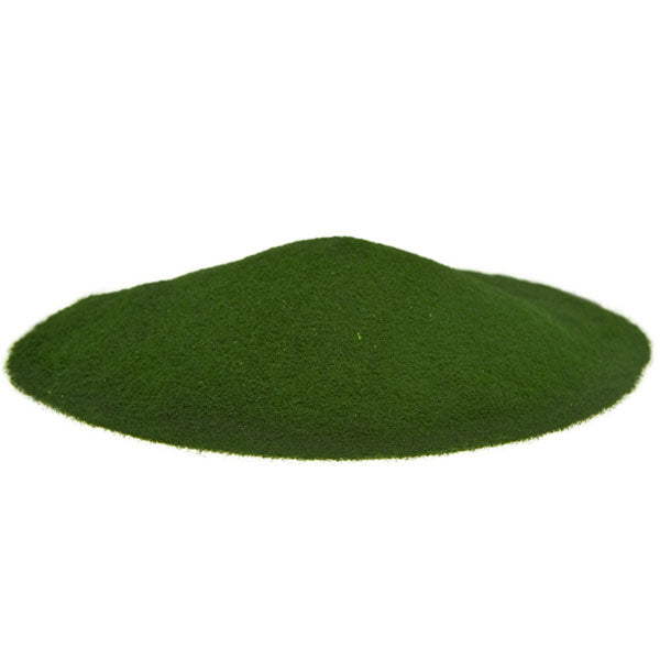 Organic Chlorella Powder | Raw Living UK | Super Foods | Raw Living Organic Chlorella Powder is potent &amp; rigorously tested for purity. Said to support immune function &amp; detox from heavy metals in the body.