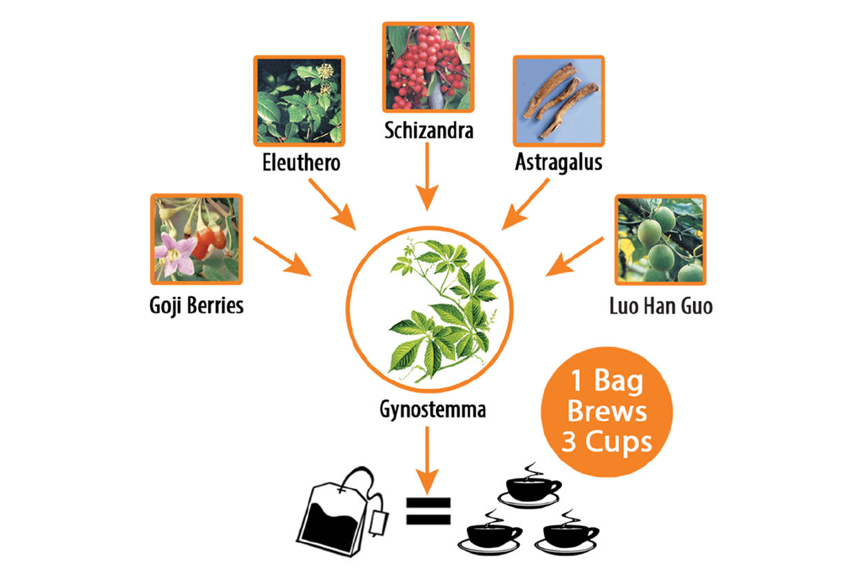 Spring Dragon Longevity Tea | Dragon Herbs | Raw Living UK | Herbal Teas | Dragon Herbs Spring Dragon Tea is made with Gynostemma. Known in Asia as &quot;Longevity Tea,&quot; and also “magical grass&quot; due to the vast health benefits reported.