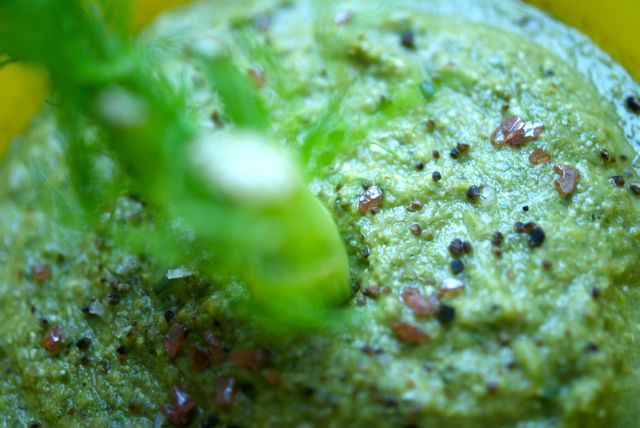 Kate Magic | Raw Foods in Winter Video | Raw Living UK | Events | Kate Magic explains how to successfully sustain a Raw Vegan diet in the colder months. Includes demonstration of warming winter soup recipe, Green Goddess Soup.