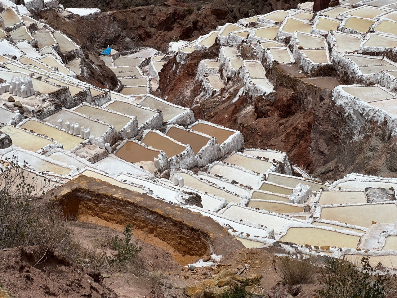 The Ultimate Salt Guide: Celtic, Himalayan, Icelandic and Peruvian Compared