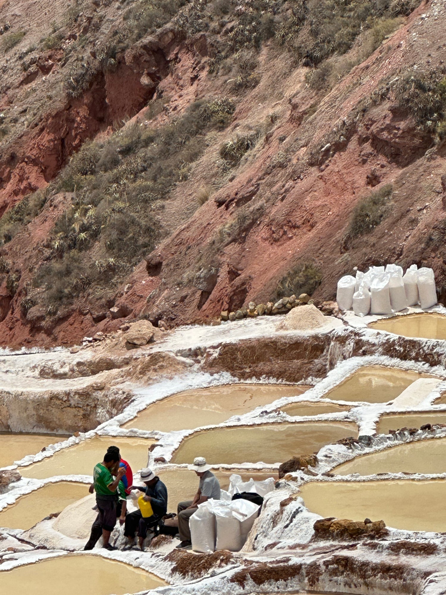 Sal de Maras - Peruvian Maras Salt