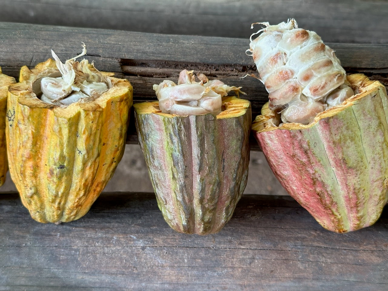 From Beans to Butter: Your Complete Guide to Raw Cacao