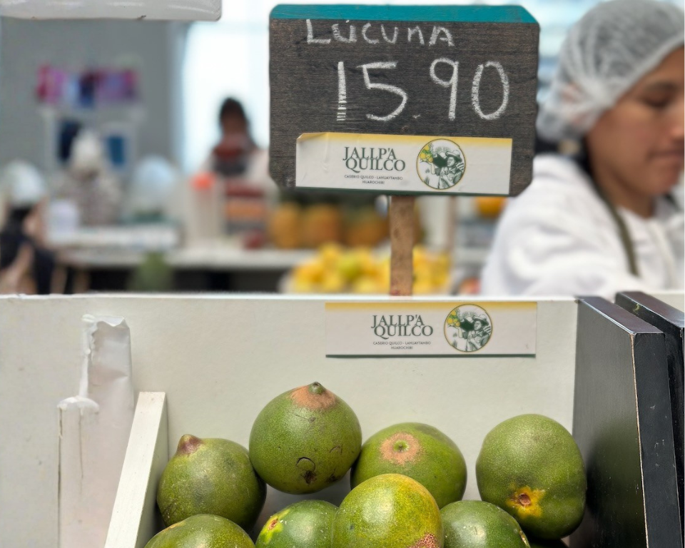 Lucuma - The Superfood Sweetener That's A Staple in Raw Vegan Cuisine