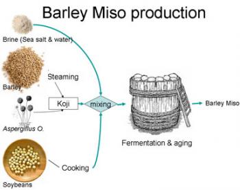 
          What Is Miso?
        