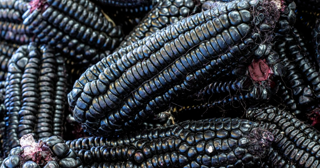 Purple Corn Extract: Benefits, Uses and Why It's One of Our Favourite Superfoods