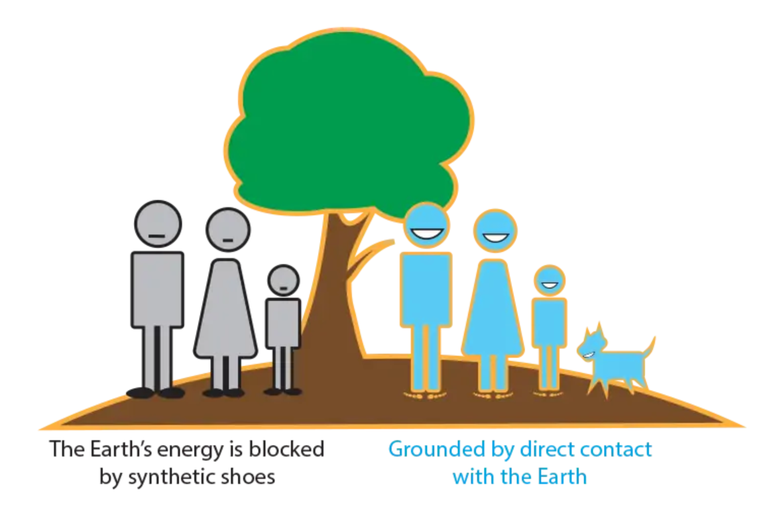 
          What Is Earthing?
        