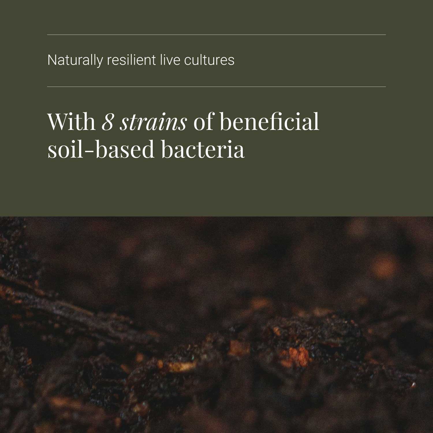 Body Biotics