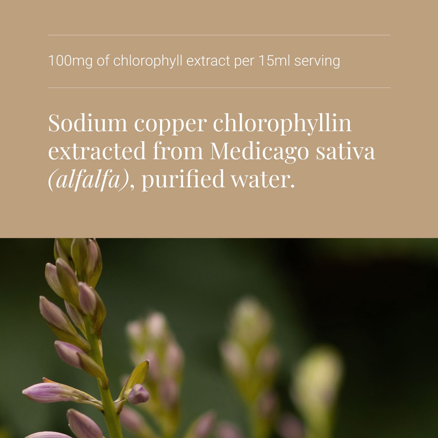 Liquid Chlorophyll