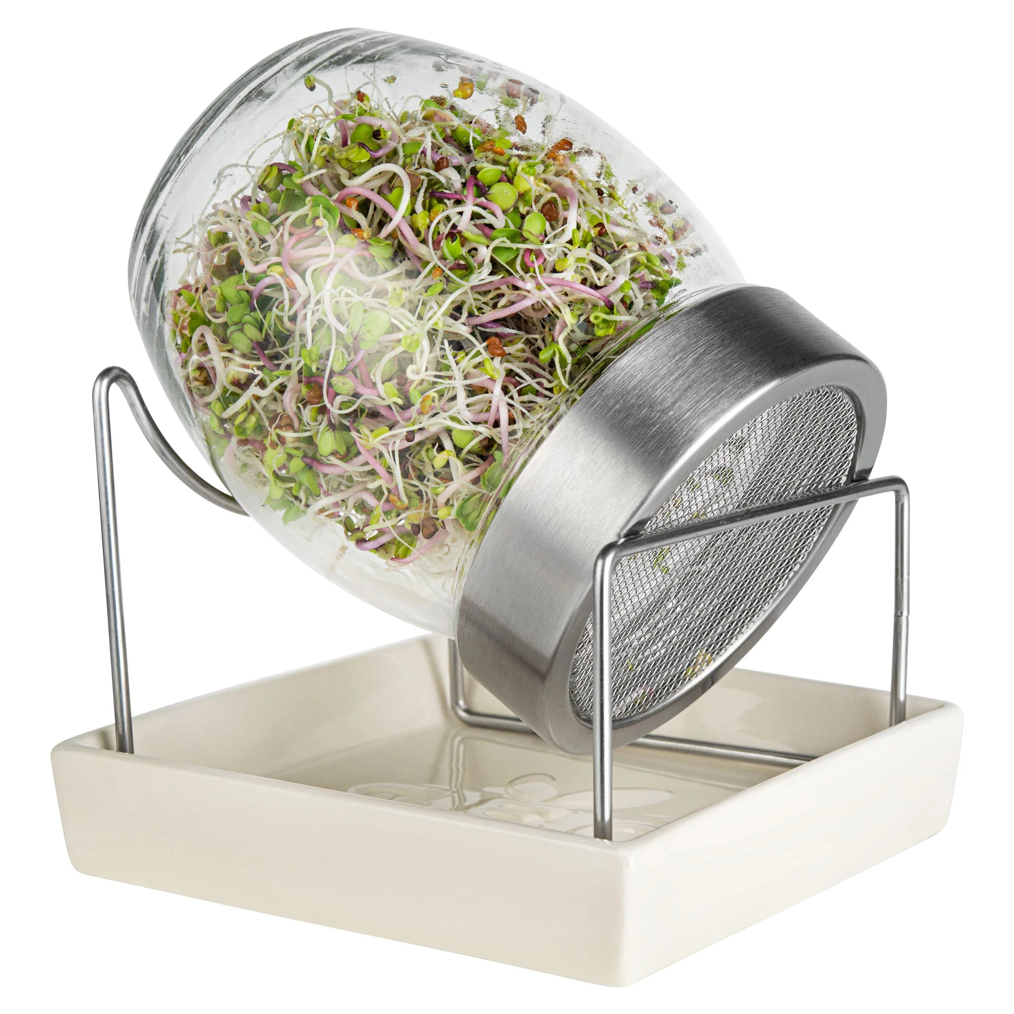 GEO Glass Sprouting Jar | Raw Living UK – Raw Living Limited