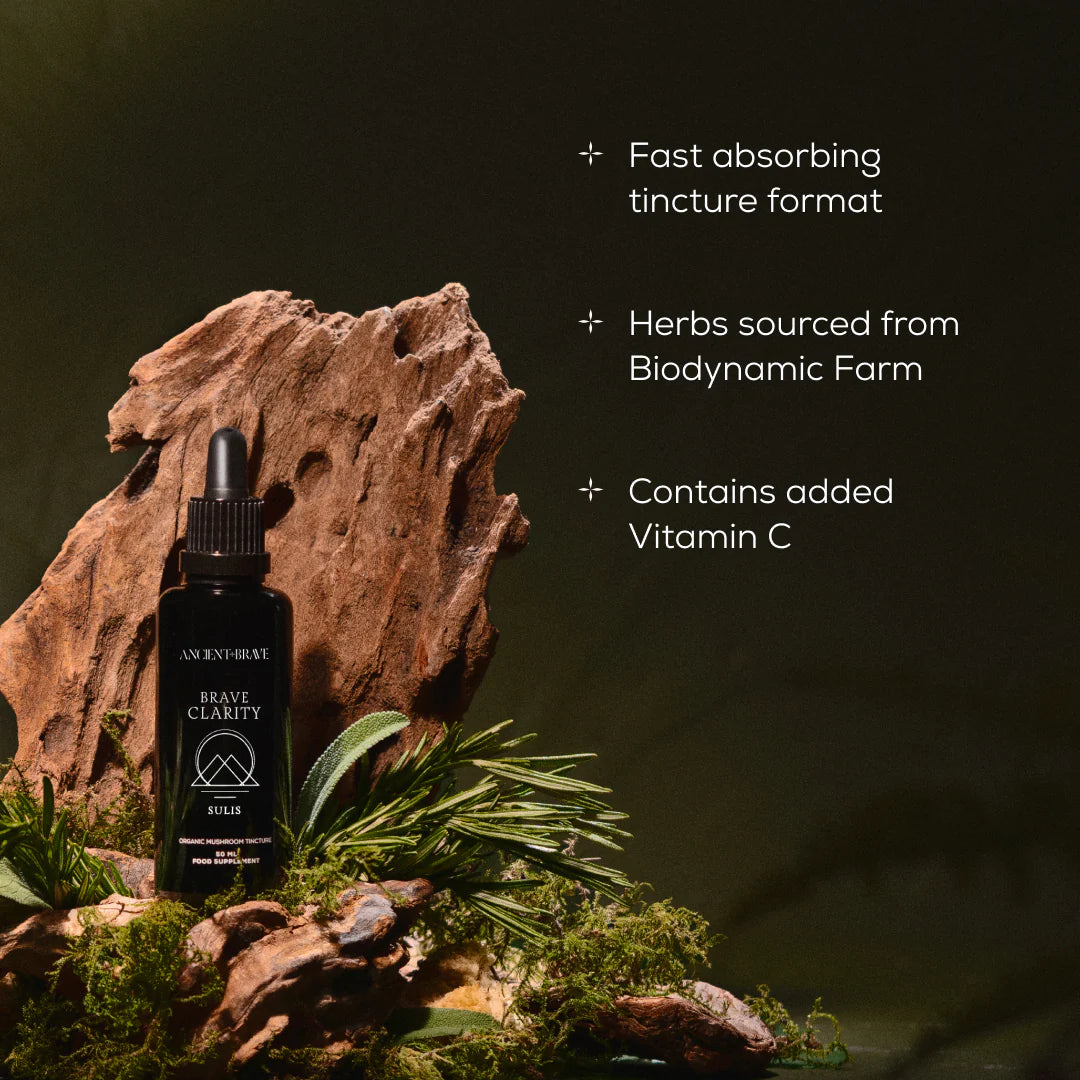 Brave Clarity - Lion's Mane Tincture