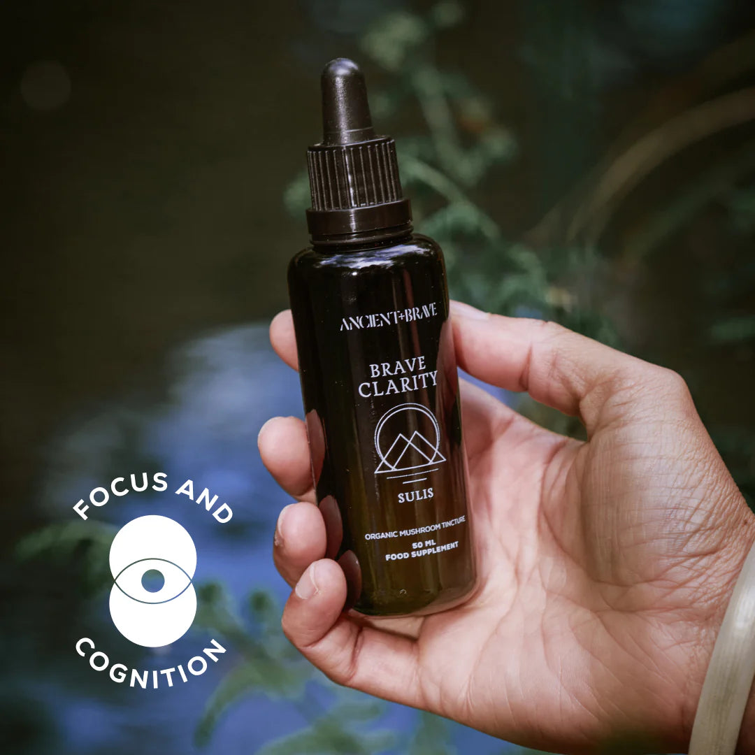 Brave Clarity - Lion's Mane Tincture