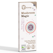Mushroom Magic Raw Chocolate Bar with 8 Mushroom Extract (50g)