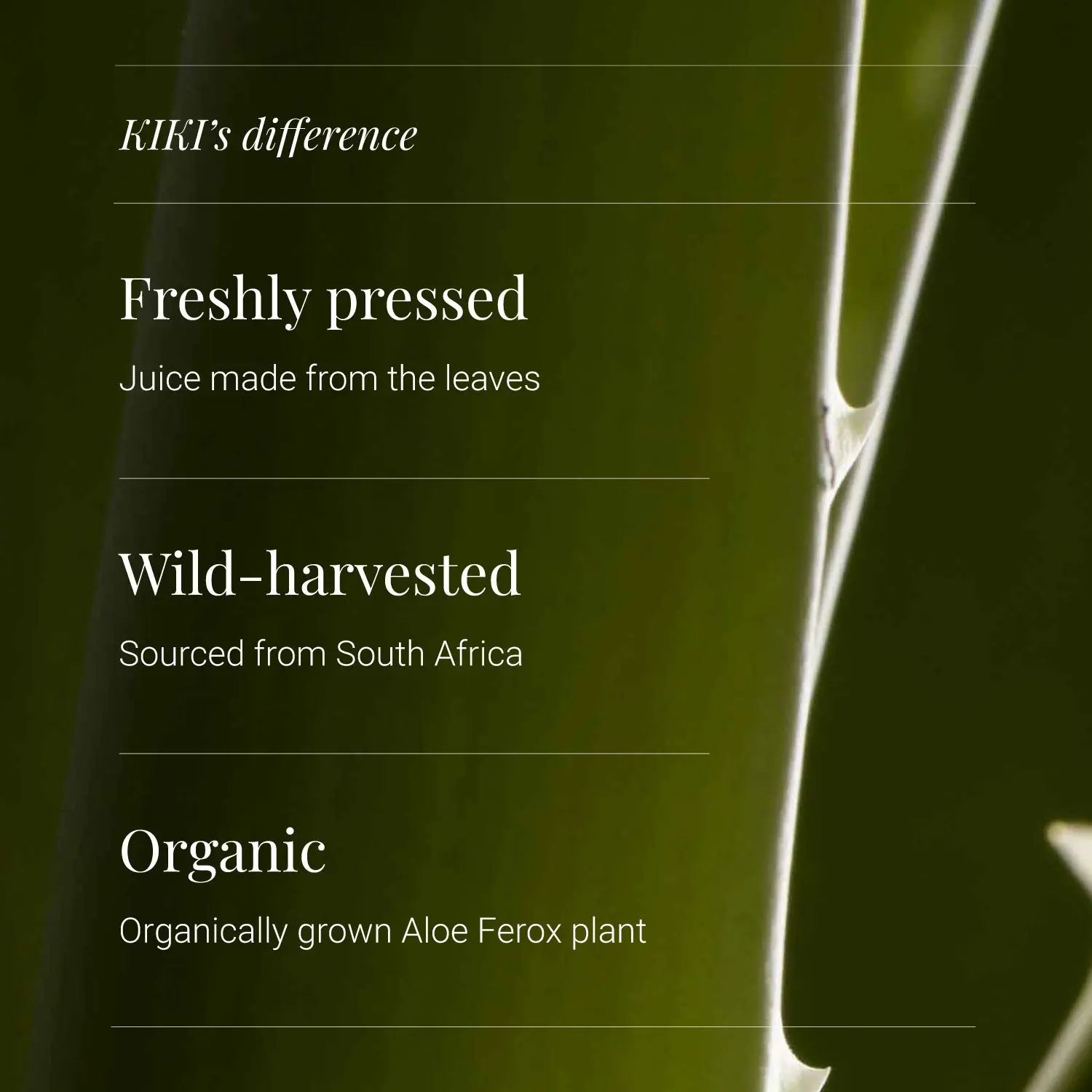 Organic Aloe Ferox Juice