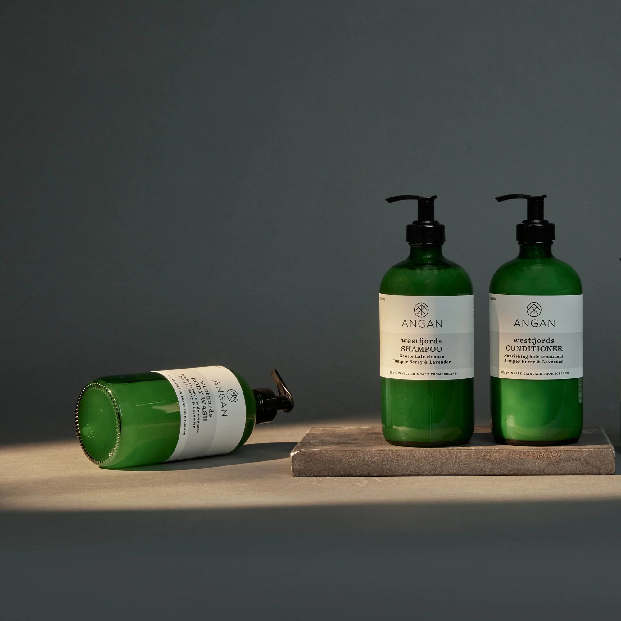 ANGAN - Westfjords Conditioner