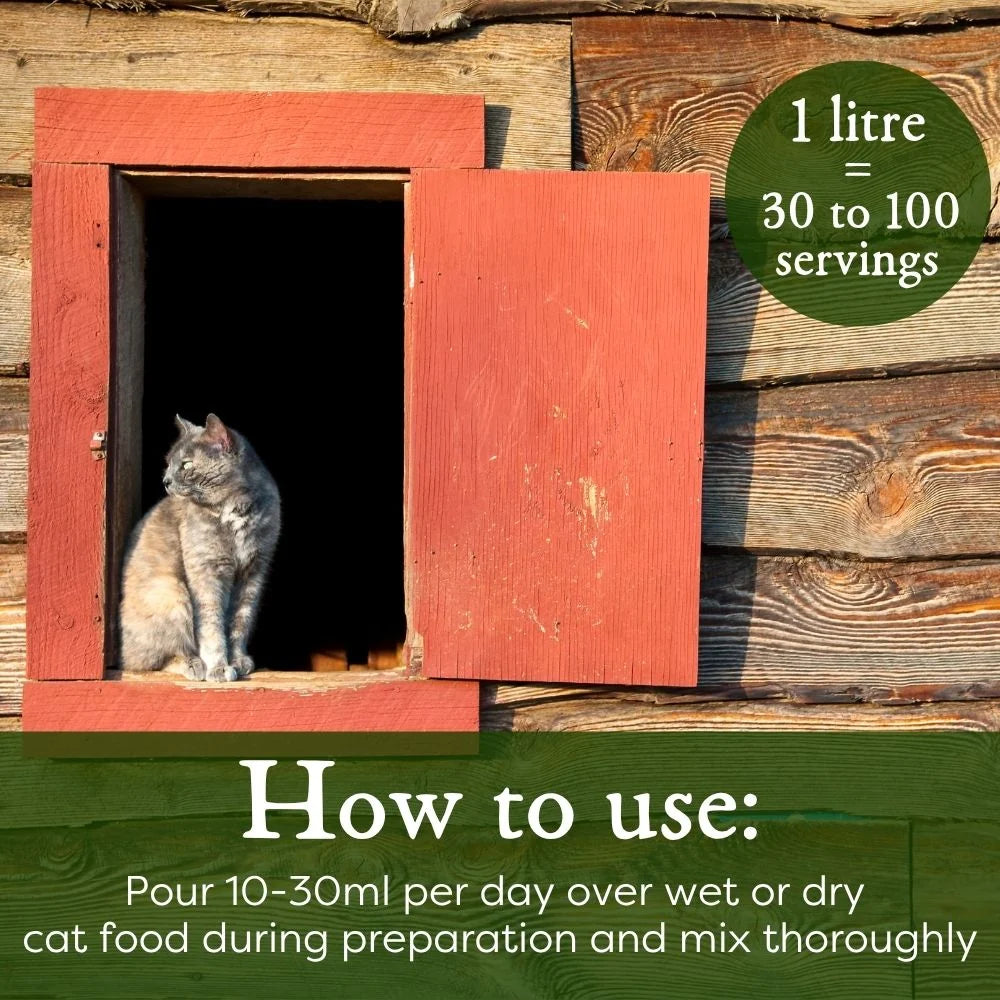 Cat Nutrition – Live Liquid