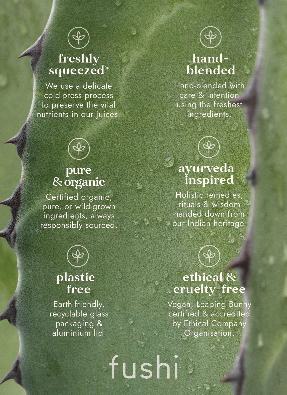 aloe vera plant ingredients Organic Pure Aloe Vera Juice (500ml) | Fushi