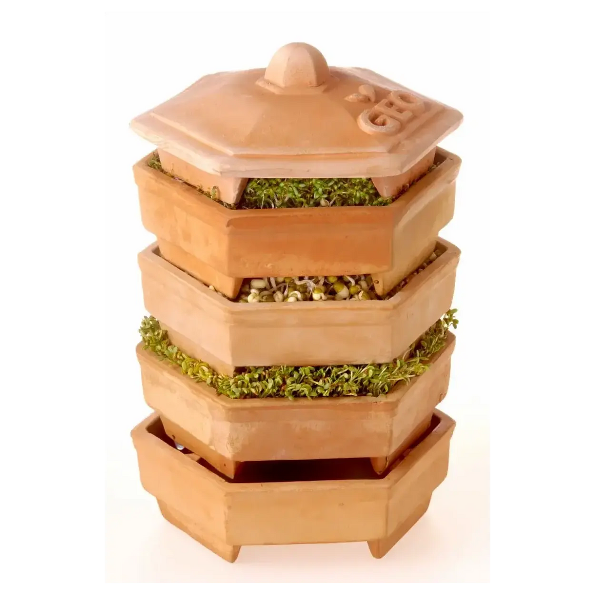 GEO Terracotta Sprouter