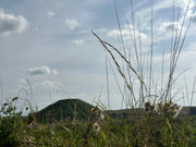 Avebury Activation Experience