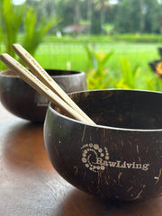 Balinese Coconut Bowls