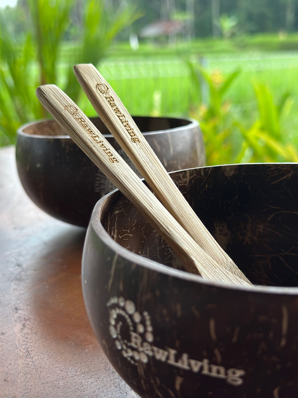 Balinese Coconut Bowls