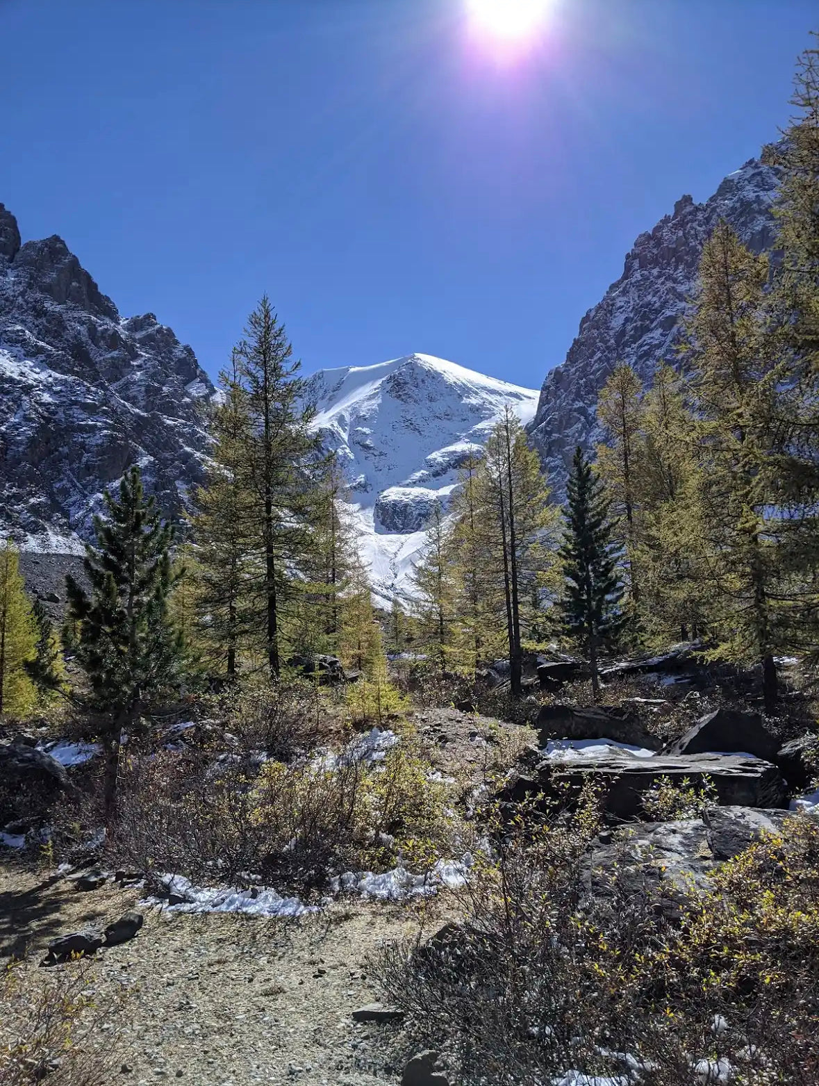 Mountain Shilajit Resin